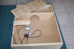 Wooden tortoise table from Happy Tortoise Habitat