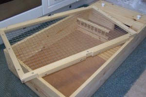 Tortoise table fitted with mesh lid