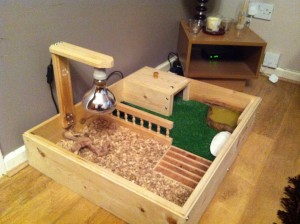 Customer tortoise table from Happy Tortoise Habitat