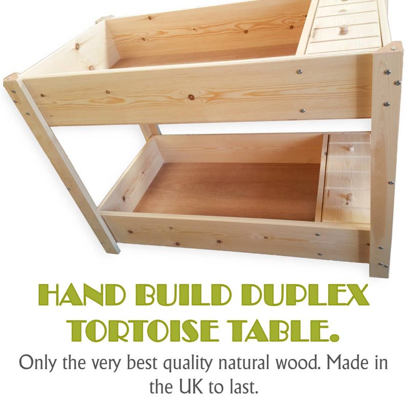 Duplex Wooden Tortoise Table for Sale