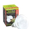 Solar D3 UV Basking Bulb for Tortoises