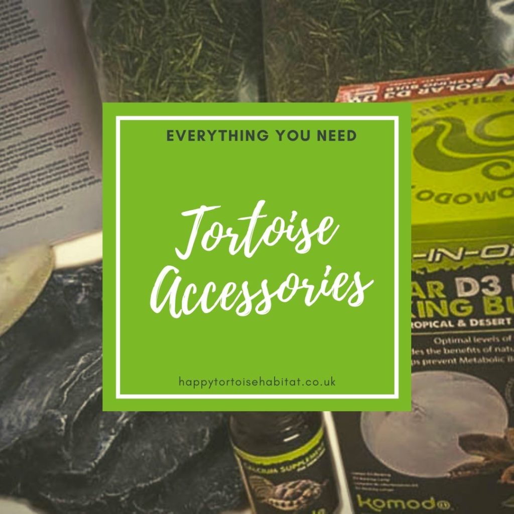 Accessories Happy Tortoise Habitats