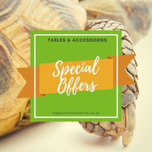 Tortoise Table Special Offers